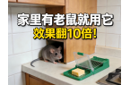 家里有老鼠就用它，效果翻10倍！